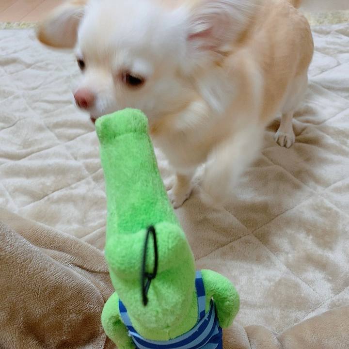 Fedf5ff3 7c88 4153 af8f ac4e14ebecf9 1613105051359