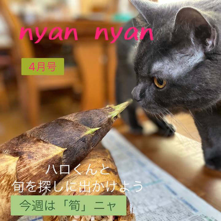 Fedf870d 74b1 41b6 8ac1 6712748e6c75 1680341094265