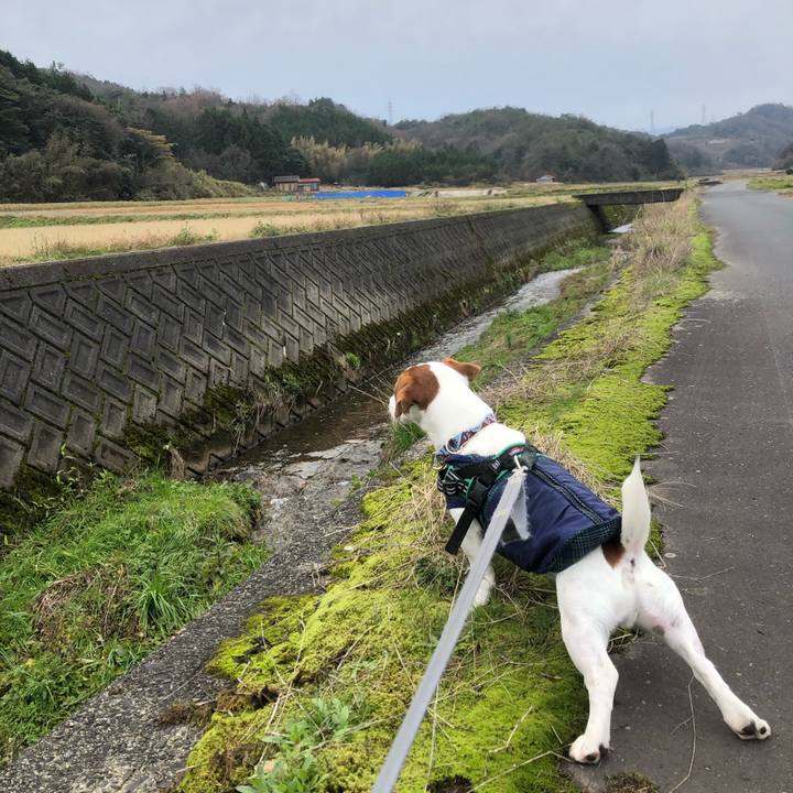 Fedfa2b5 88ba 43e5 8fe6 21c085e79f7b 1576986690099