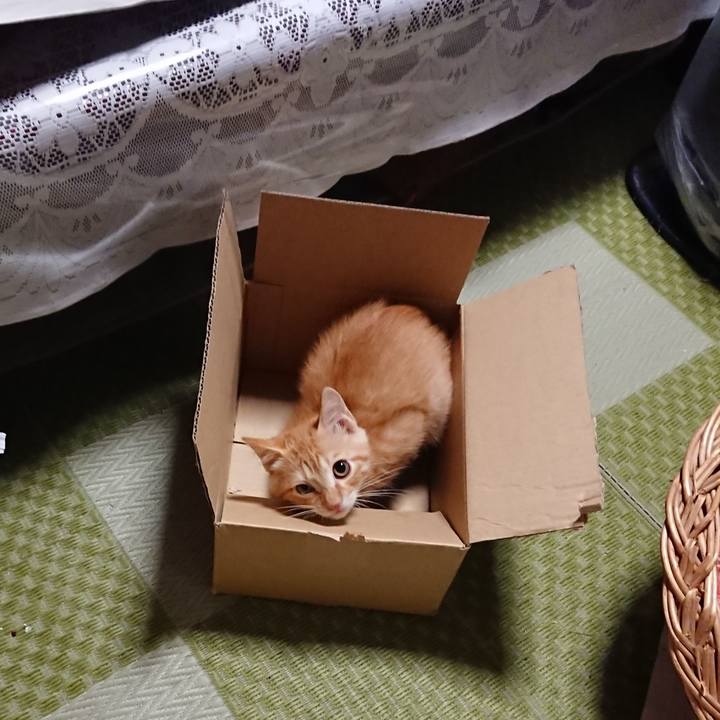 Fedfcfc5 a9ea 4274 b5eb de584533ff4b 1631101919708