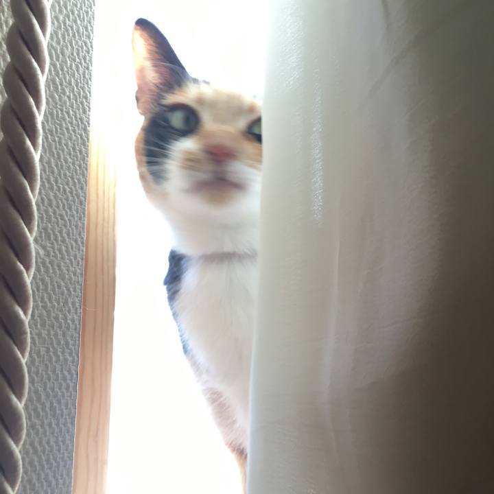 Fedfdce6 b173 4c90 a3d9 a2e10a5319b1 1519342925383