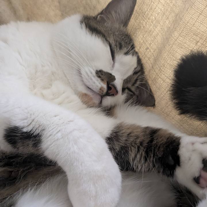 Fedfe19d 992d 4cd9 b575 889cca5c3849 1731979247053