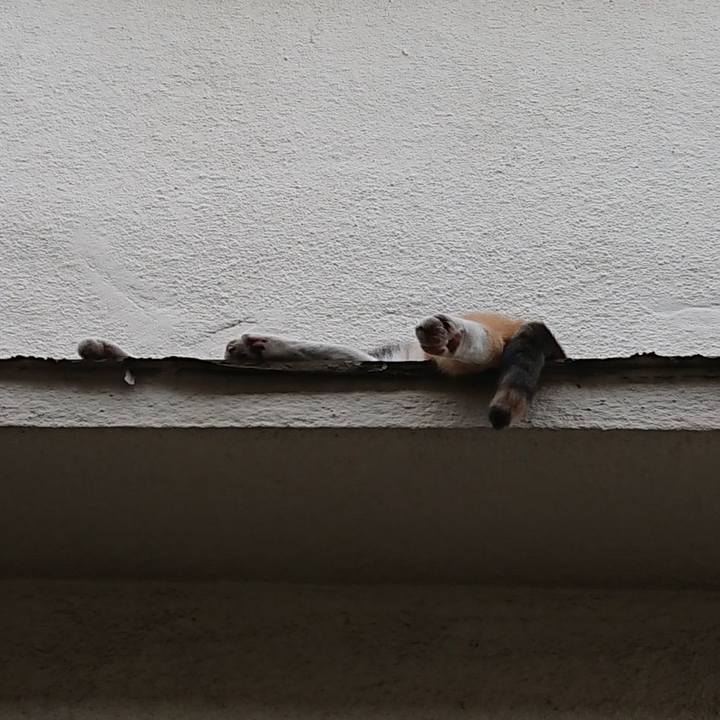 Fedfe80e bfc0 497b a43c 6731c6e3c5a4 1628332914739