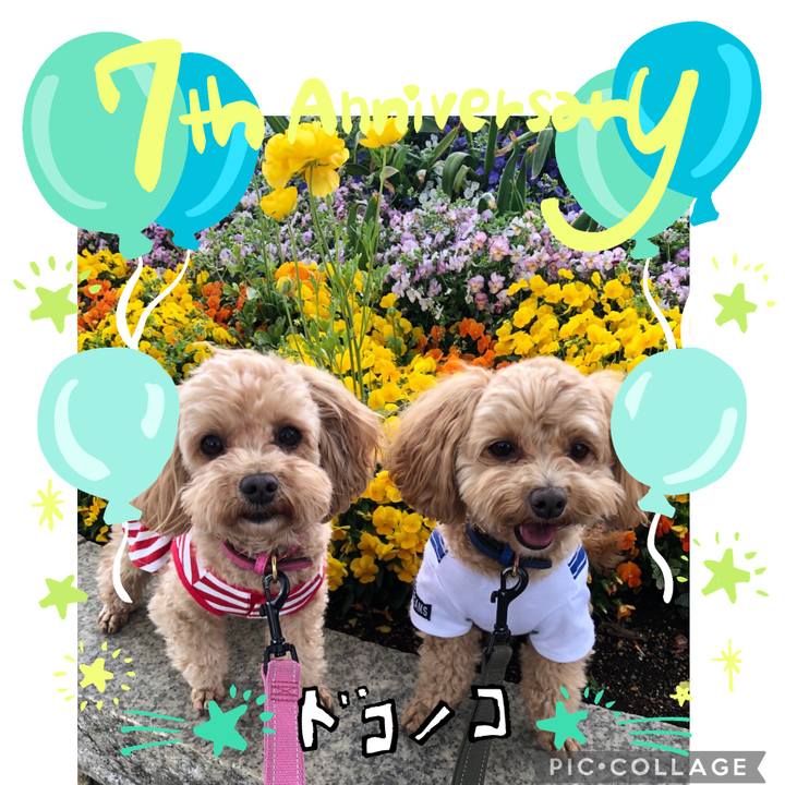 Fedff98f 05cb 49db 94a6 0e1fe3f7cdfe 1685961965594