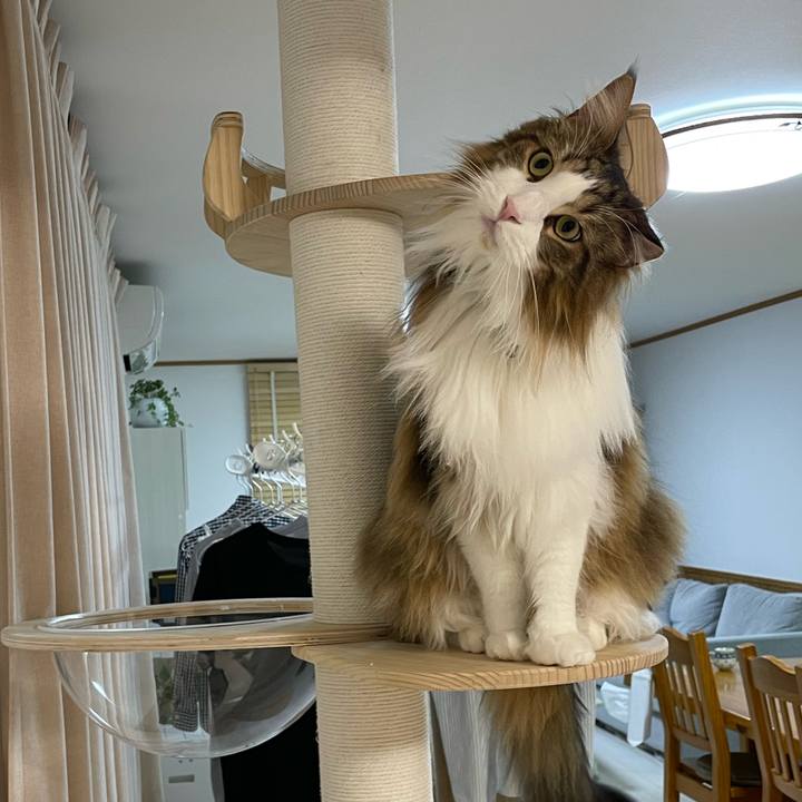 Fee00a64 2c2c 47ca 9062 342d742ad694 1677354849581