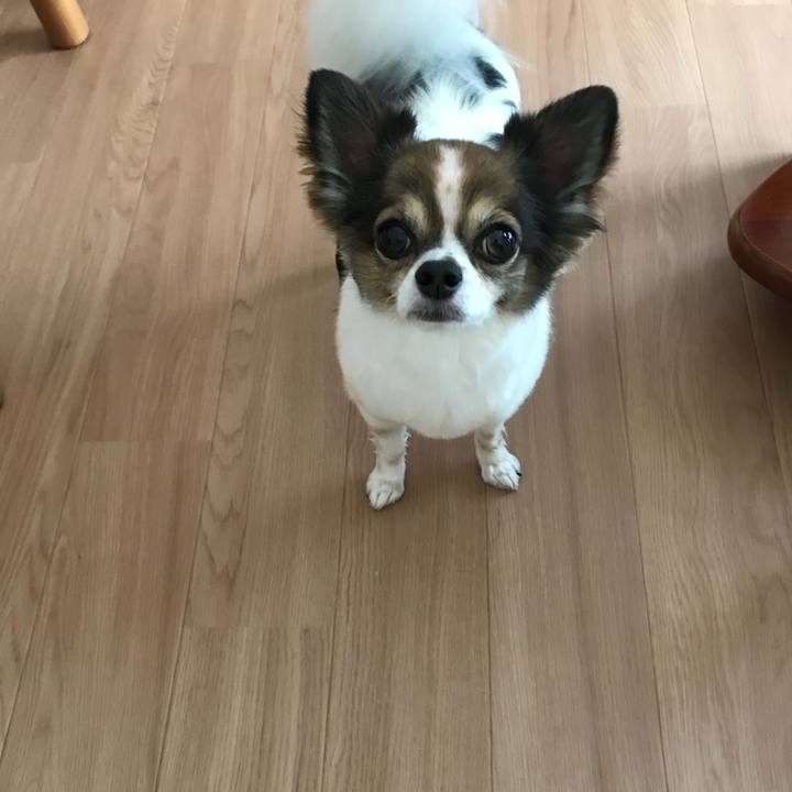 Fee02986 152b 4bd3 afcc 34958368ad27 1533941380612