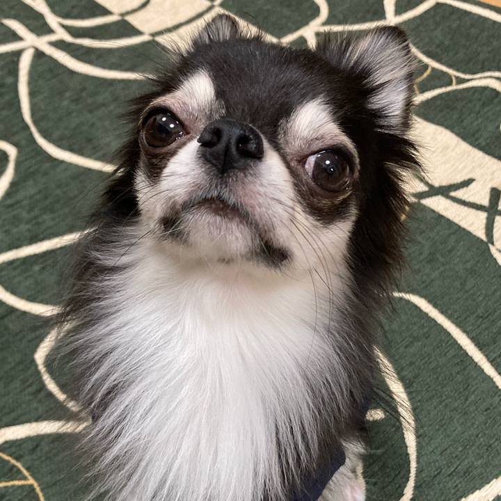 Fee035b5 9c8a 4559 8942 1a0d61cdbfdb 1637502609930