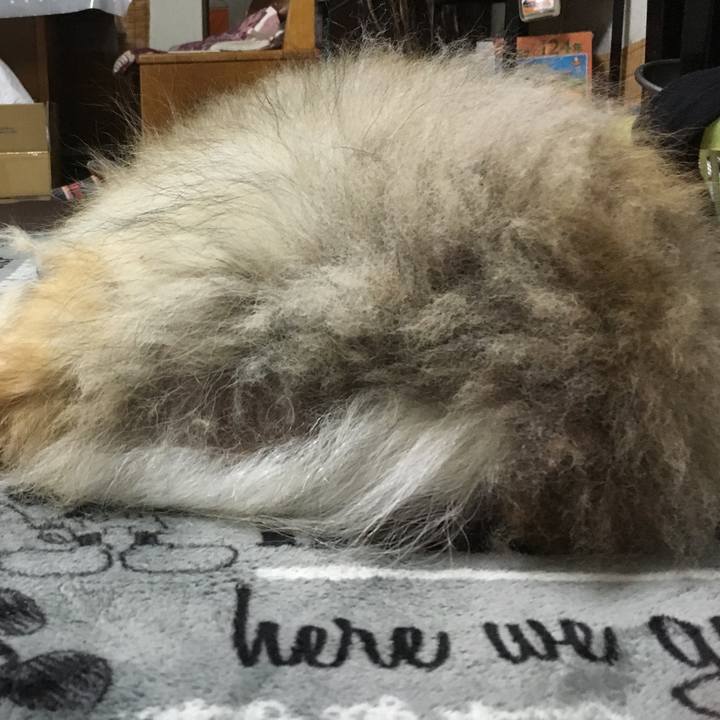 Fee0514a b7aa 4127 9dab 2e87156360b9 1581996956987