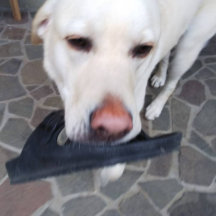 Fee08219 3be2 4133 93a8 4fc3469bc7d1 1520065626005