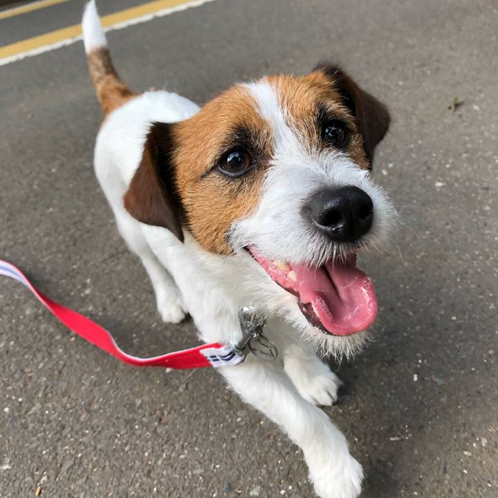 Fee0ada1 a4bd 4f93 a24b 101773d92fcc 1525262672823