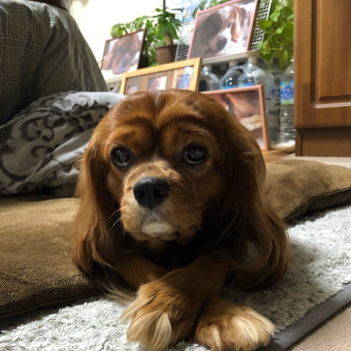 Fee0c6e2 5ee3 4ab5 a8aa 7d77b6446a54 1604527564925