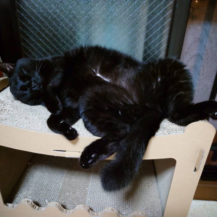 Fee0dccf 02a2 45b1 8340 23003c0d94b0 1750817134549