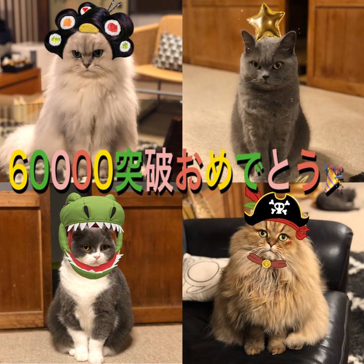 Fee0f498 7b66 4b81 b424 bd9d884a770a 1578493025067