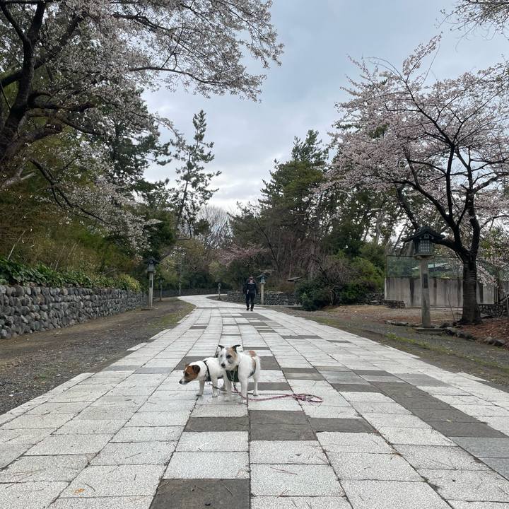 Fee1122c 5878 494e 888e a262027c360e 1744156576743