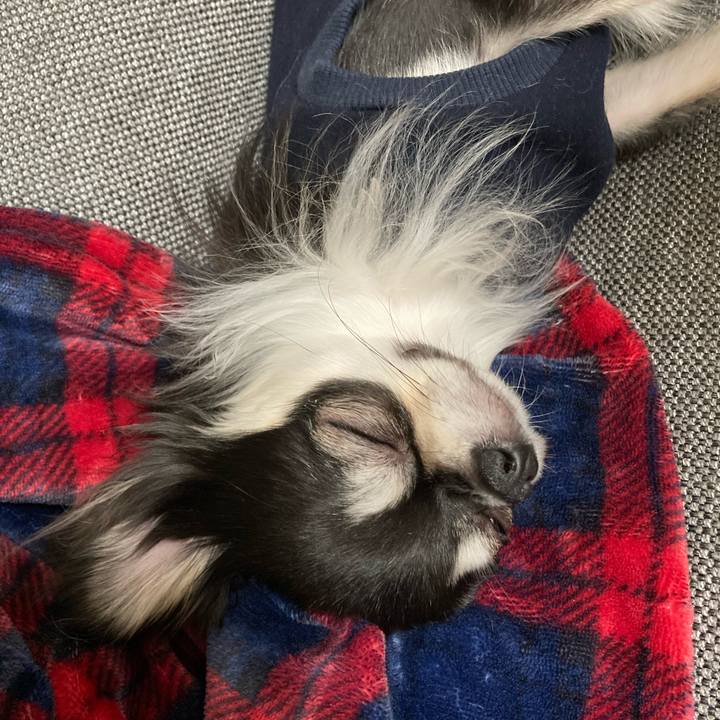 Fee1174c f93d 42c7 bb08 081b9626d8c0 1615126853099