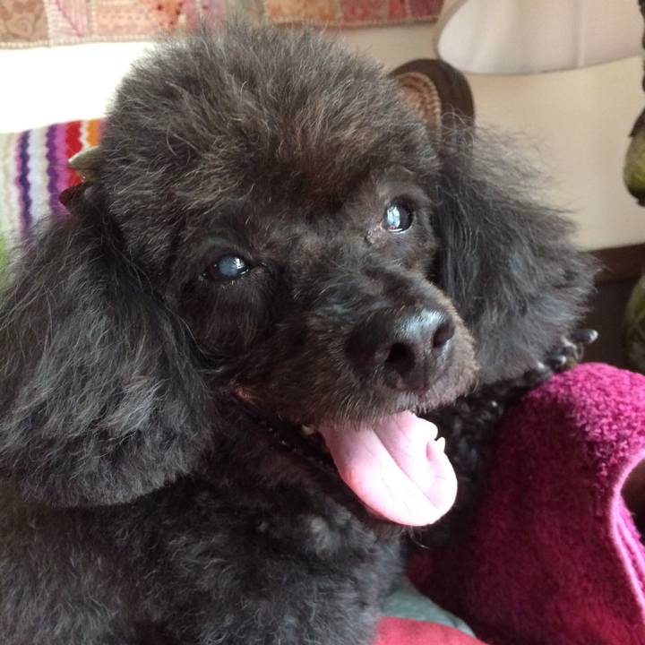 Fee13956 ef07 463a 9354 707cebebf437 1537153468978