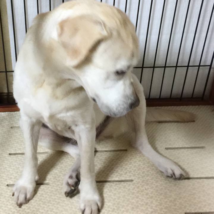 Fee15690 e461 4206 99c7 9070a3ff3d1f 1535022351287