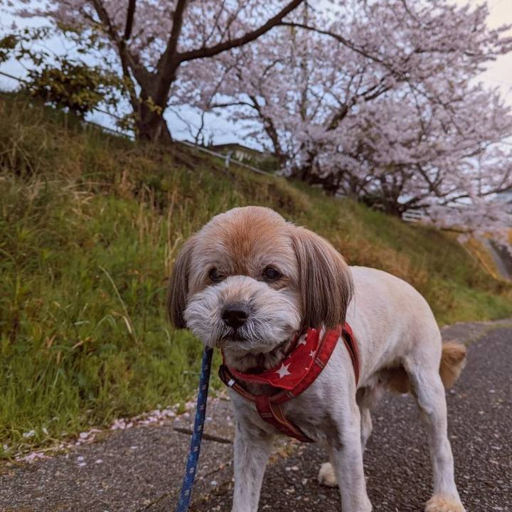 Fee17ca8 dc91 44a1 be5f ce18ae438f26 1712402031804