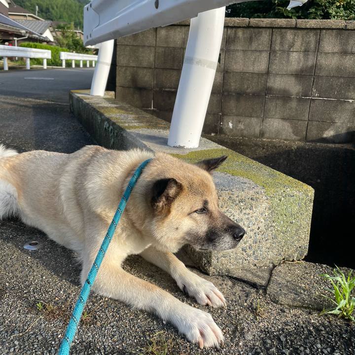 Fee189a6 2a35 4c8e 8c91 66b04908503a 1689077636038