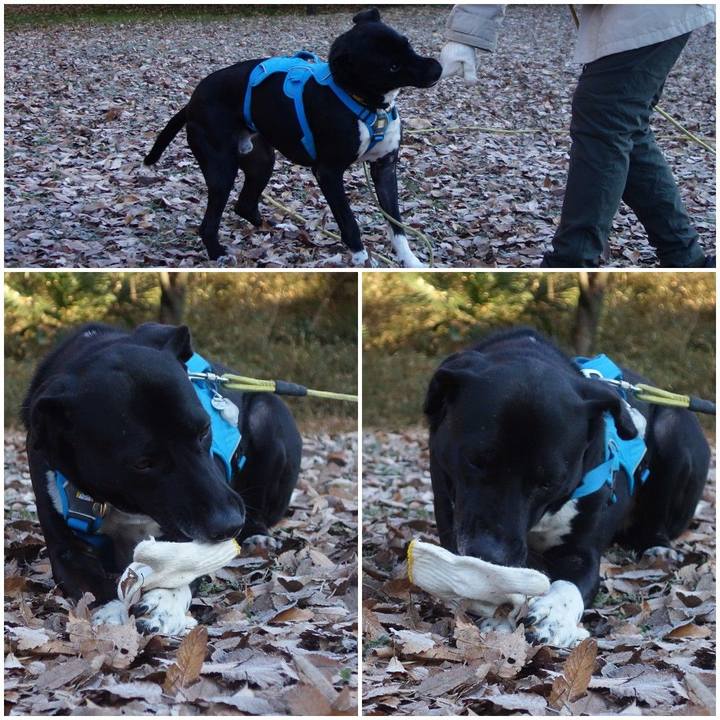 Fee1a957 93ef 4f44 9160 22fcd5bed0d8 1608423202763