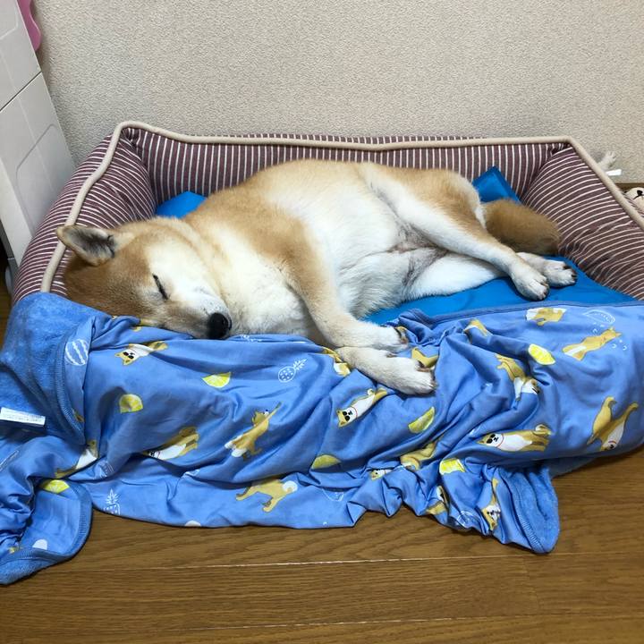 Fee1ae70 59e9 405d 98a0 b2e9d3cef46d 1593157208185