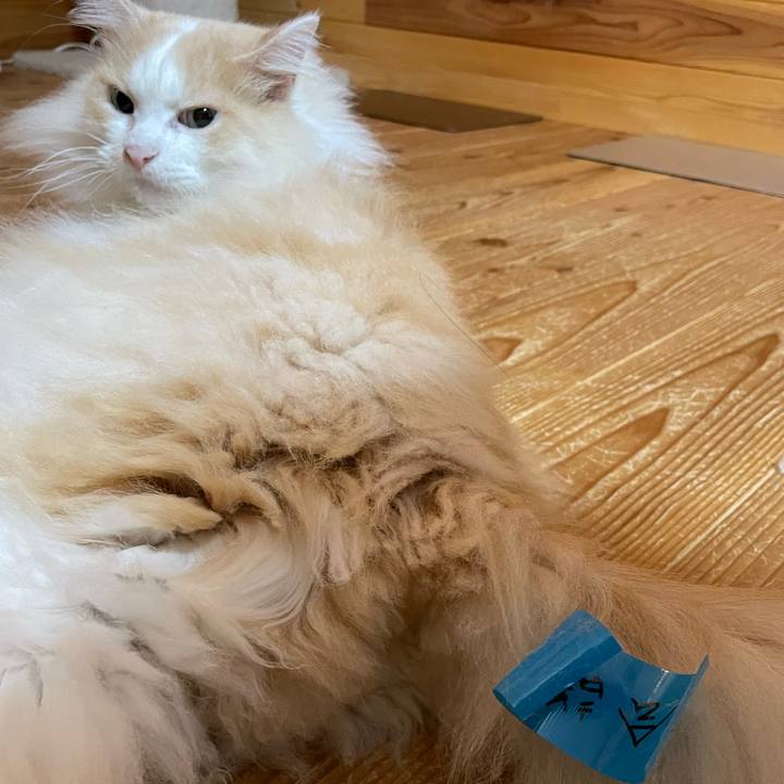 Fee1f55d 6e56 4e57 aeb1 70a17237b0f2 1663190588895