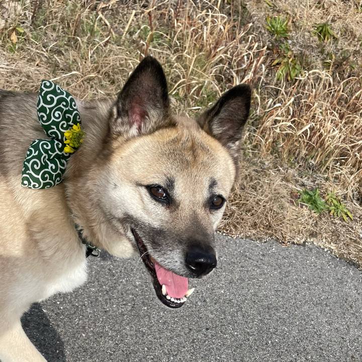 Fee2240e 6b0b 4b54 bef3 adb59282cf29 1676102072394