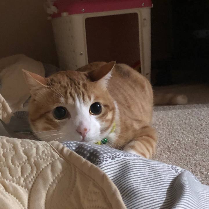 Fee22588 9588 471f 8e9e 66df4c3620f6 1582208756727