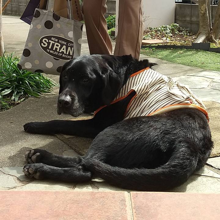 Fee22e0f bc13 4f65 9f05 8d1987d65c99 1709845220875