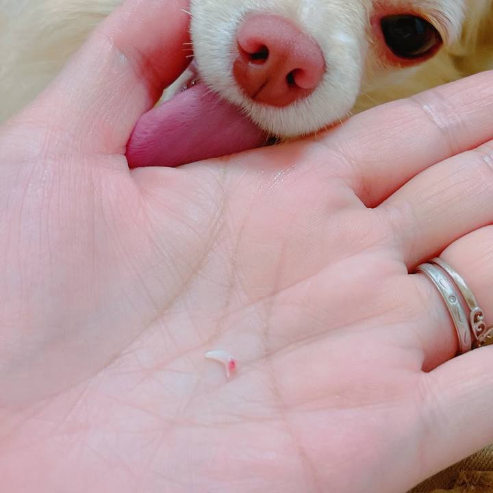 Fee22fef d6c4 437a bfcb b60410e31af4 1650633263801