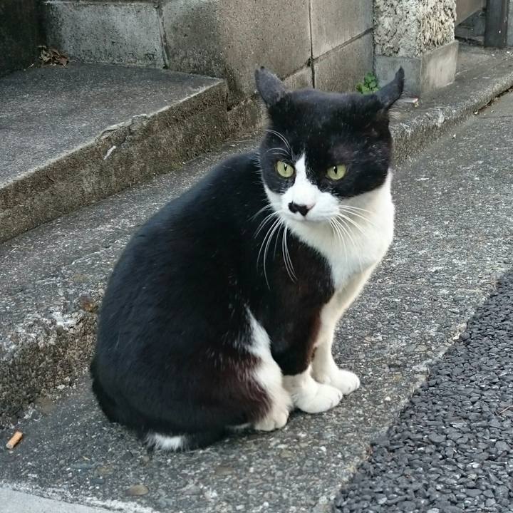 Fee23007 1b14 4cbf aa41 f5bac3ded29b 1510897406106