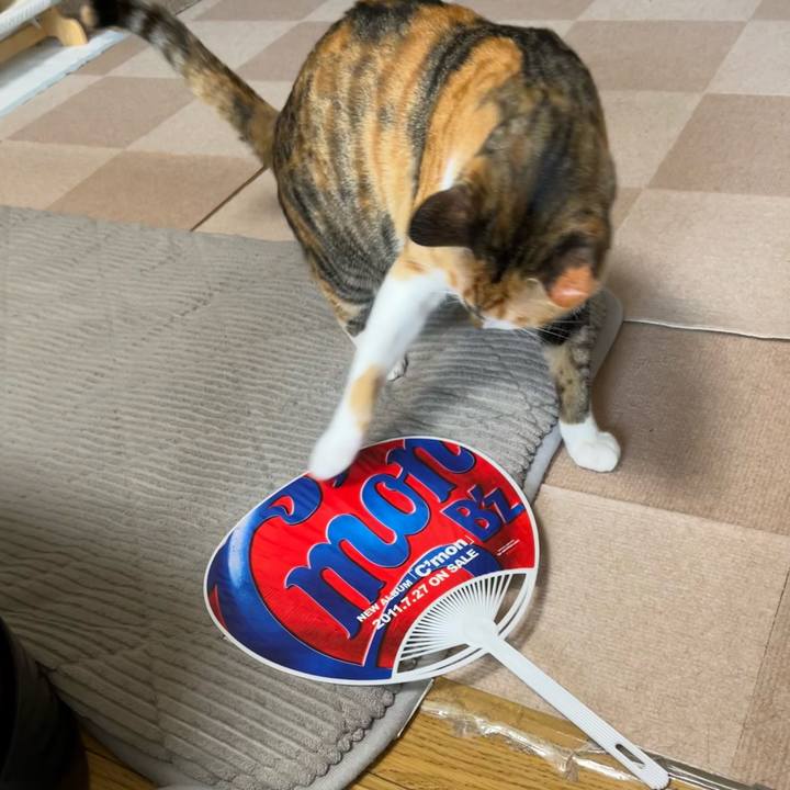 Fee236fb 2901 461a 9f56 16f0a39a3923 1689377094872