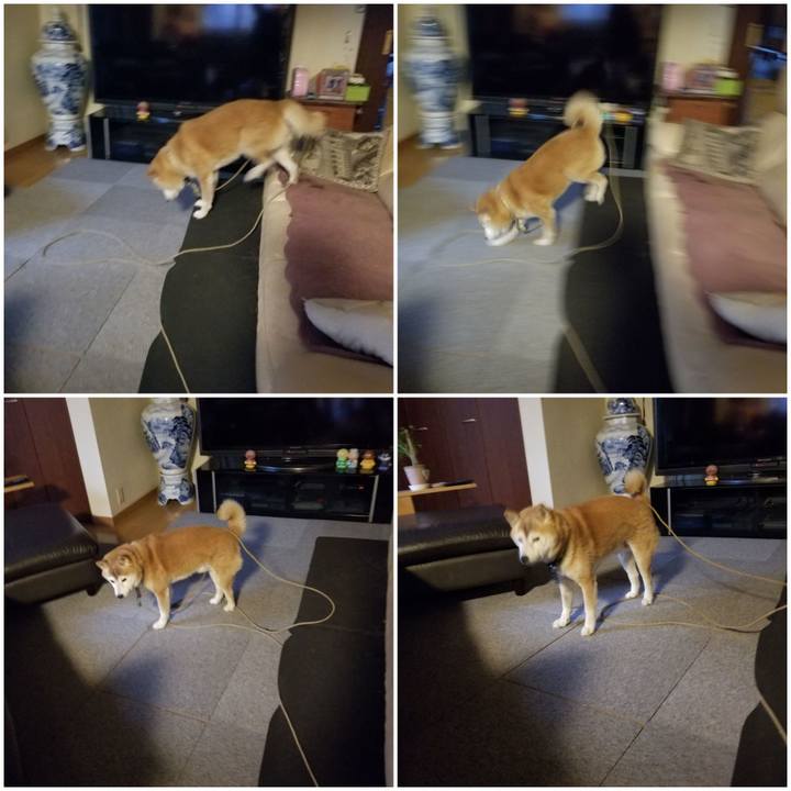 Fee29536 4ed5 477d a1f8 53c1b3acf199 1698617661674