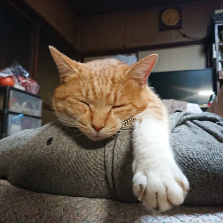 Fee2d0cb 8cb1 499a b42c c089bf209190 1575885657913