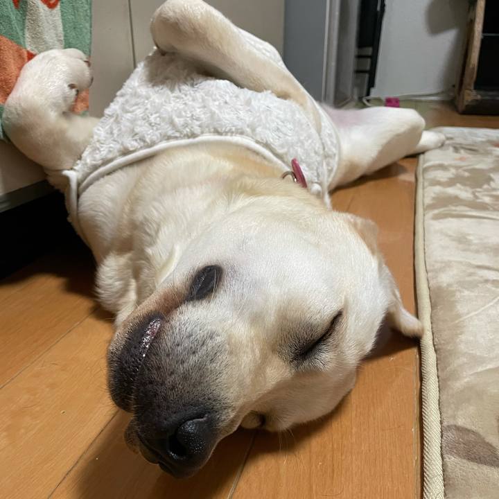 Fee2e237 d9ab 4565 83e1 4011b0d0e20c 1633478479746