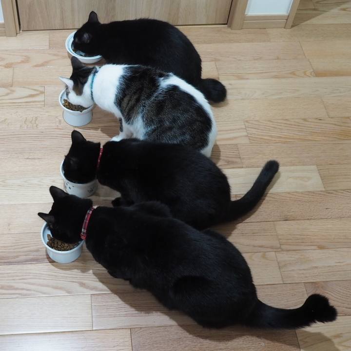 Fee2e3ae 7347 417e bdb7 69d2c93e21b0 1541114512987