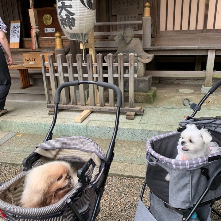 Fee2f9c6 841c 4ece a551 71af561e671e 1633963414402