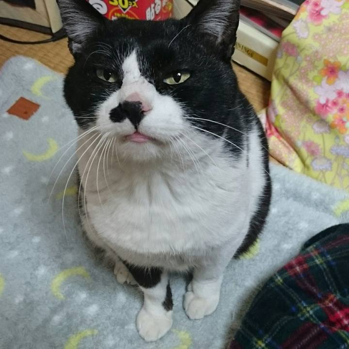 Fee2fe52 6527 423c 871e 4574ca23d0e1 1516921833794