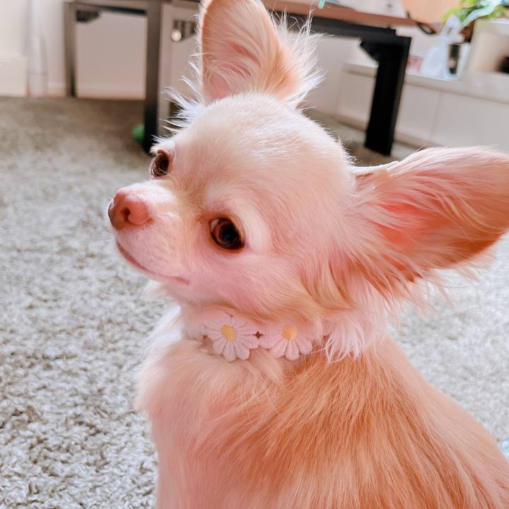 Fee310ce df29 4feb a524 7ae5b498ab4c 1657365320498