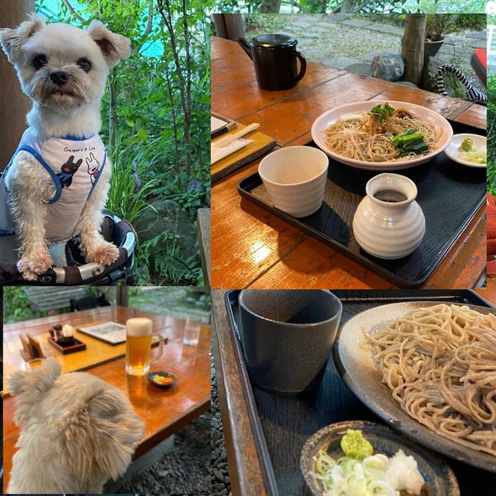 Fee32c54 76b3 4cb2 b3a7 68343570d3be 1598168408309