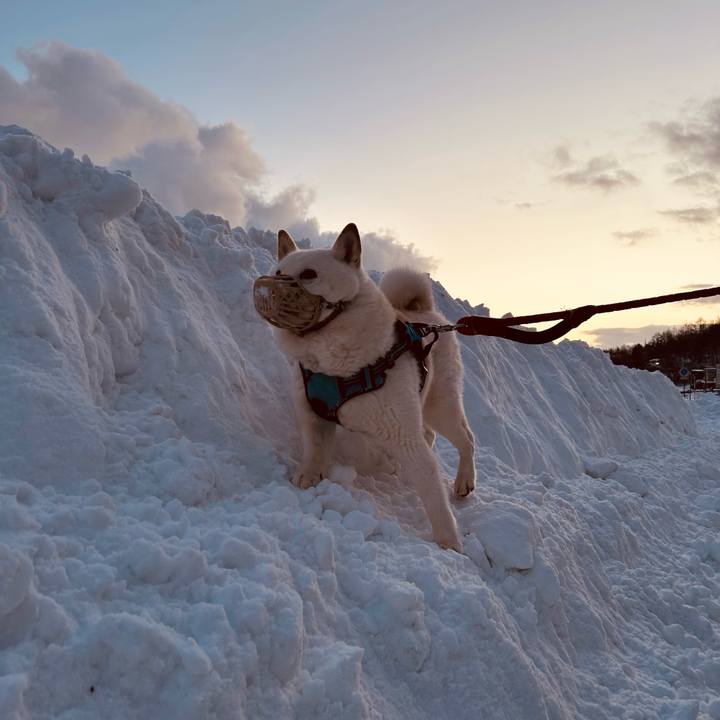 Fee33767 c213 4e1d 87af a641d15f3b47 1735510159299