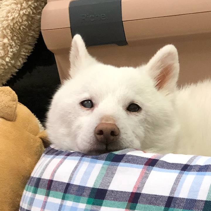 Fee3381b 2233 4c49 8ff7 297a6a9e8565 1620910357614