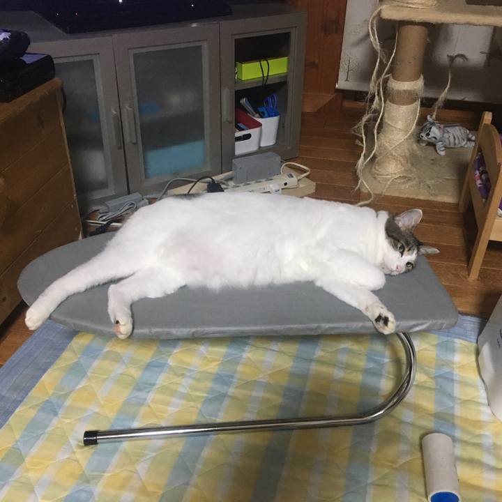 Fee3962c 2cda 4b36 b1f3 3dfb9157dea6 1532958324348