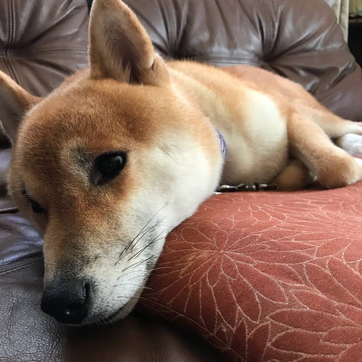 Fee3a5ed 1e8c 49de 94ab 7f08624b2287 1567214225591