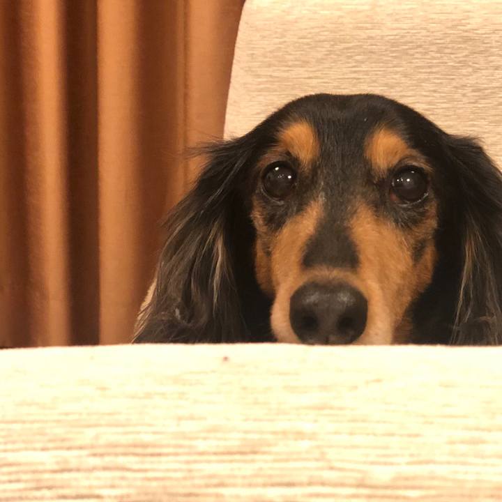 Fee3d0b1 a0df 49b4 9b29 02fb50afdd10 1579181736147