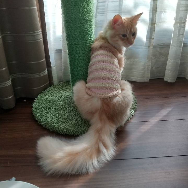 Fee40503 011a 4ad6 b521 bf21d256bf6e 1615272879767