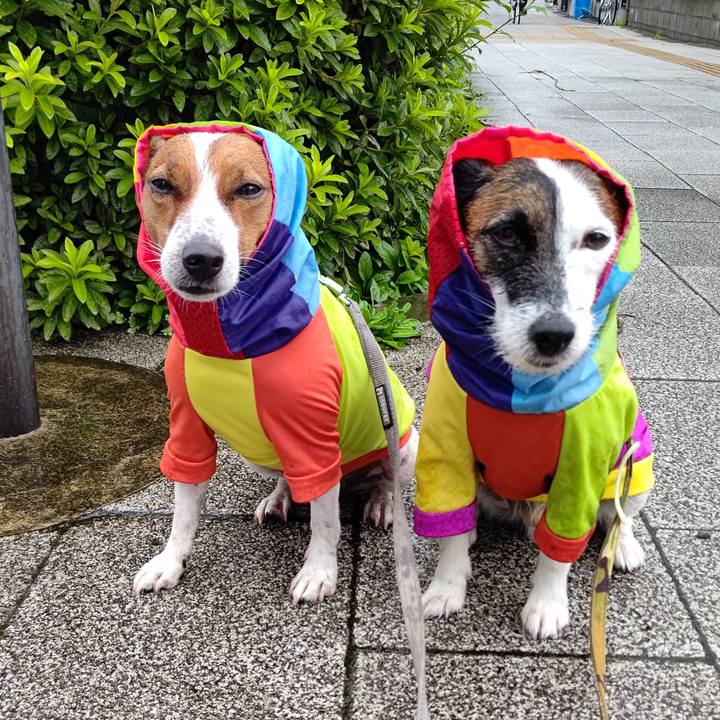 Fee420e1 6ed8 4077 851a ed02008b5f5f 1625437510126