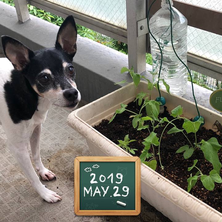 Fee43a9d cbac 451c 8a67 4328d66948c2 1559085652924