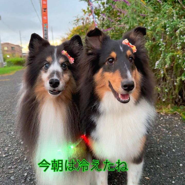 Fee445b3 1405 462d 9865 642c04d8b9e0 1761654267337