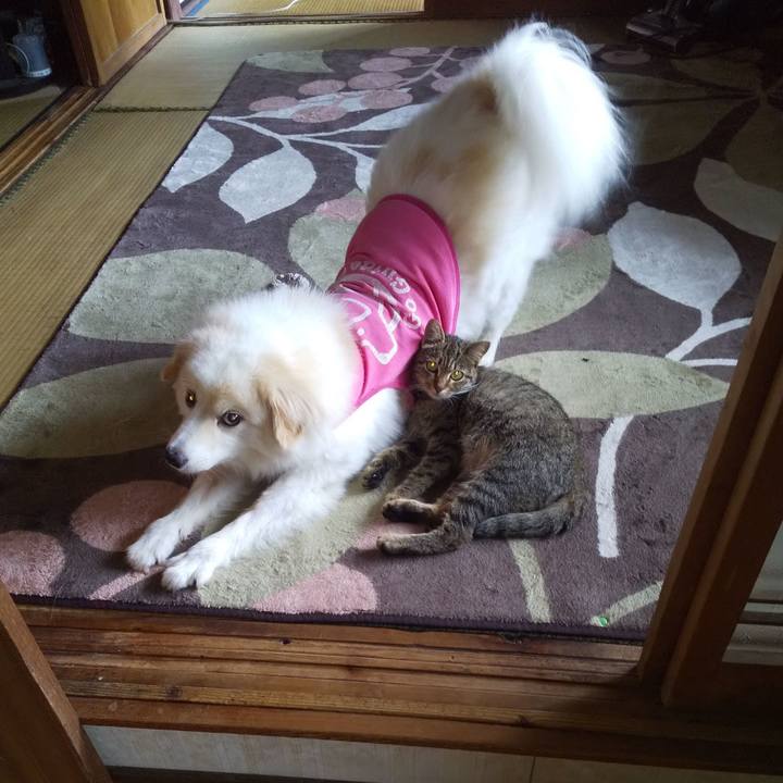 Fee45b20 8347 4942 a61e bbe963a34134 1637548040495